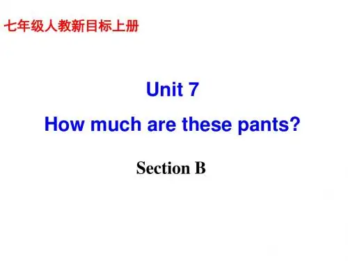 新目标七年级英语上册第七单元 How much are these pants Section B 课件