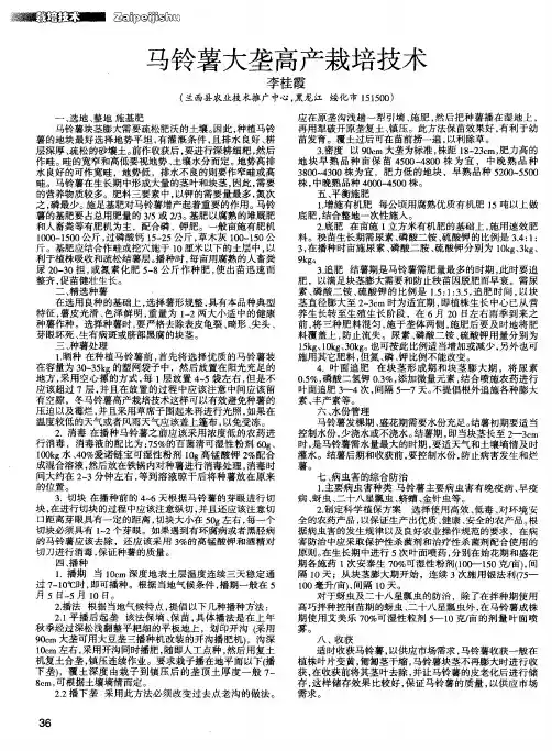 马铃薯大垄高产栽培技术