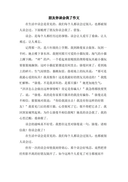 朋友你误会我了作文