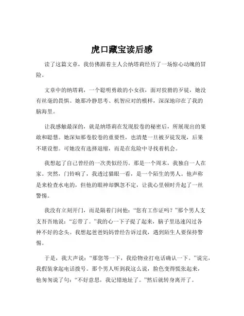 虎口藏宝读后感
