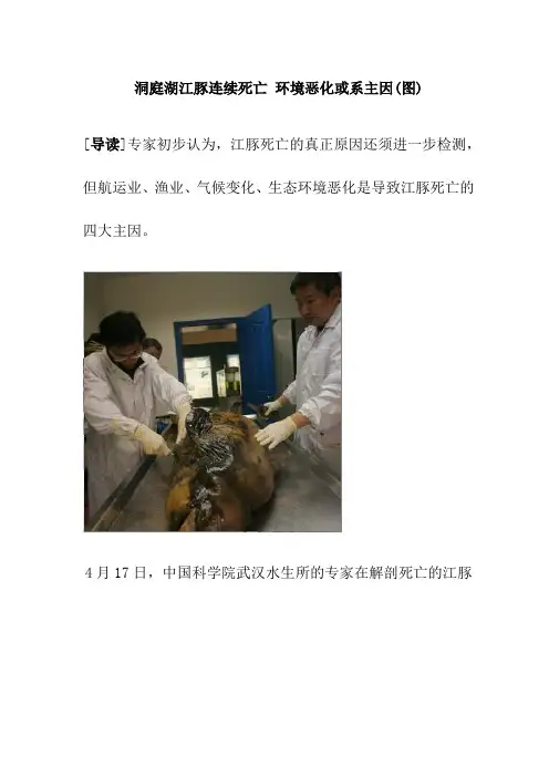 【课外阅读】洞庭湖江豚连续死亡环境恶化或系主因(图)