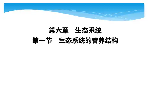2019年浙科版必修3生物：第一节 生态系统的营养结构
