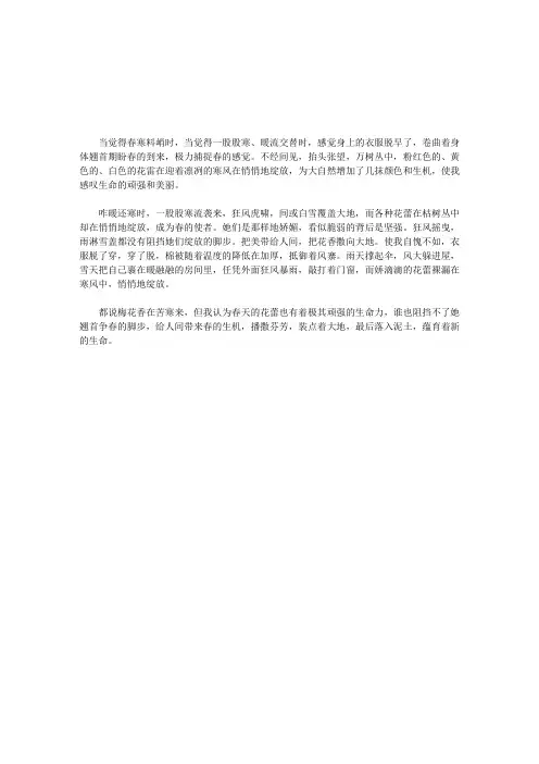 花蕾在悄悄地绽放