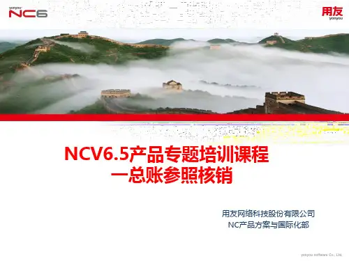 NCV6.5产品应用培训-总账参照核销