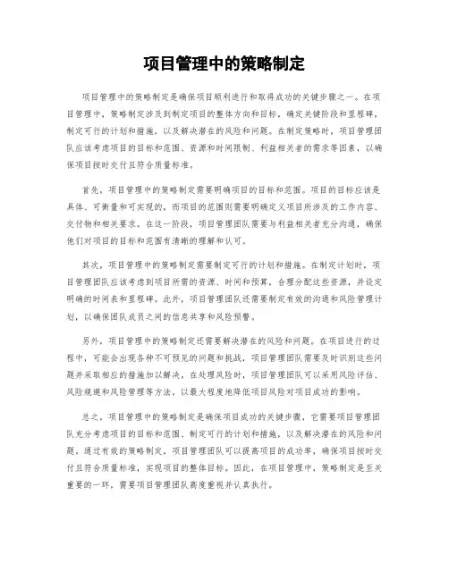 项目管理中的策略制定