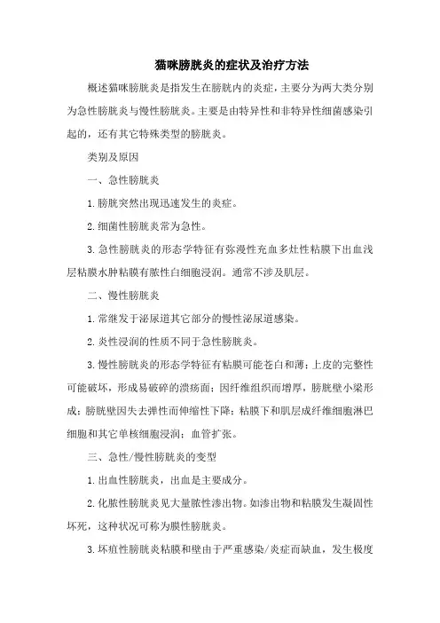 猫咪膀胱炎的症状及治疗方法