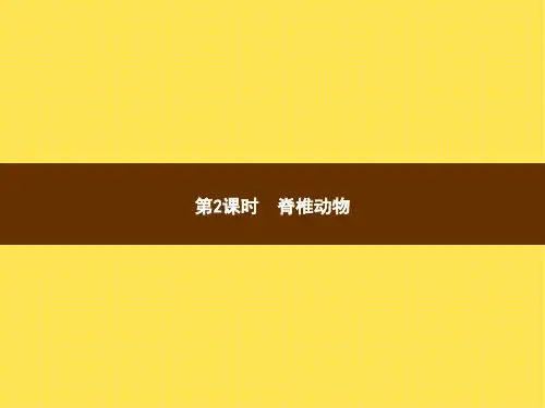北师大版八年级下册生物 22.4动物的主要类群2 课件 (共11张PPT)