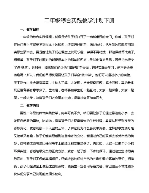 二年级综合实践教学计划下册