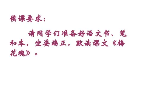 6、《梅花魂》第一课时课件