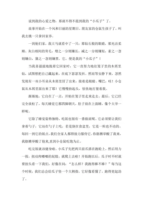我的小瓜子作文