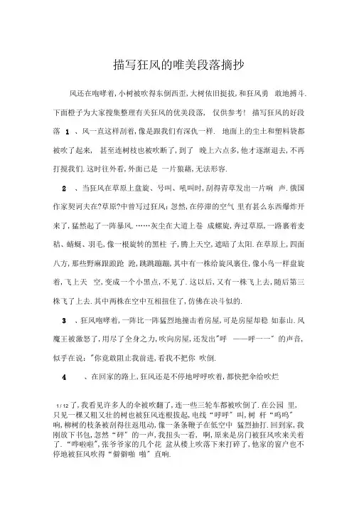 描写狂风的唯美段落摘抄_作文素材