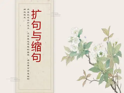 小学生扩句和缩句ppt
