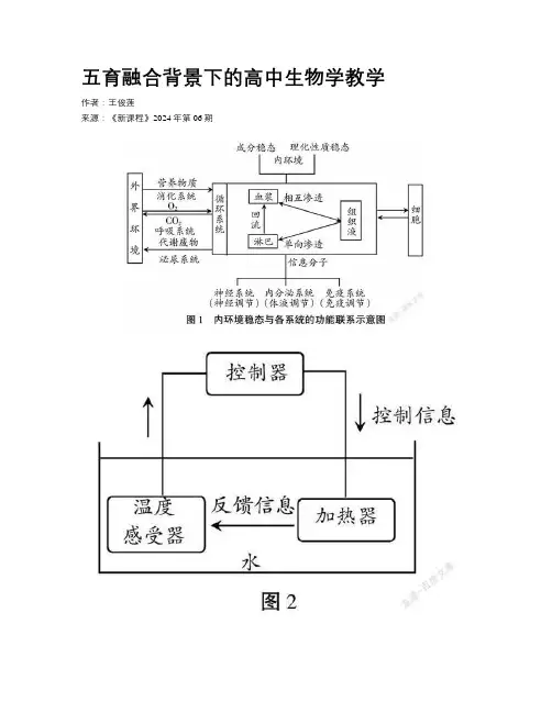 五育融合背景下的高中生物学教学