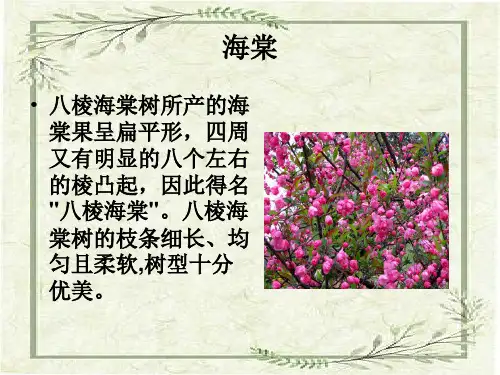 植物名片