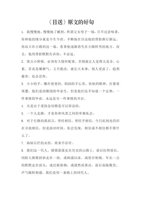 《目送》原文的好句