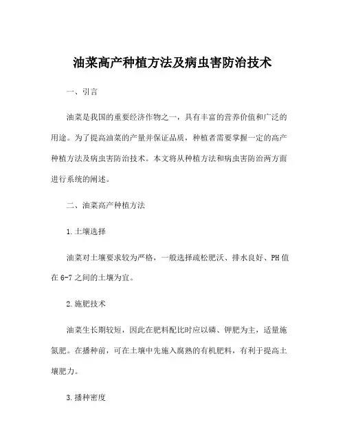 油菜高产种植方法及病虫害防治技术