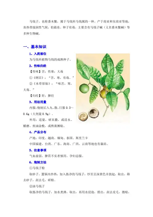 马钱子 2