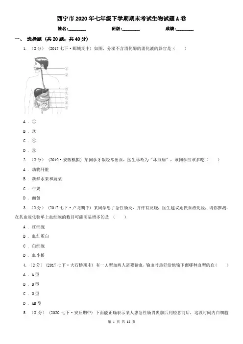 西宁市2020年七年级下学期期末考试生物试题A卷