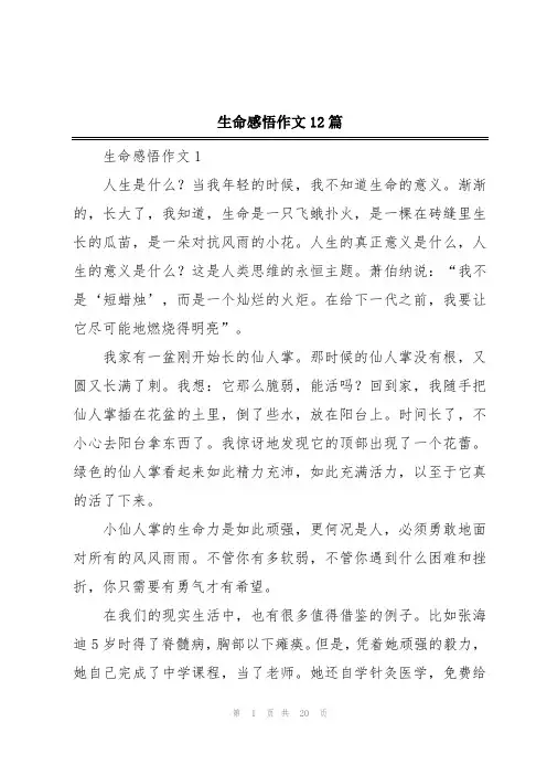 生命感悟作文12篇