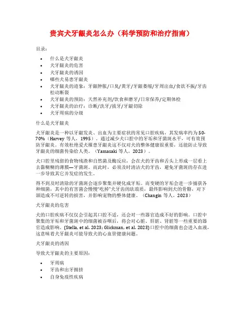 贵宾犬牙龈炎怎么办(科学预防和治疗指南)