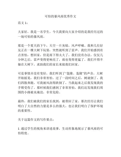 可怕的暴风雨优秀作文