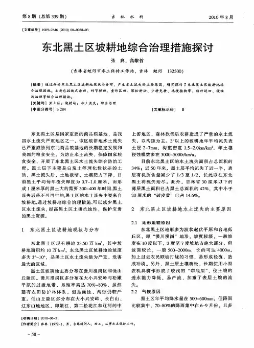 东北黑土区坡耕地综合治理措施探讨