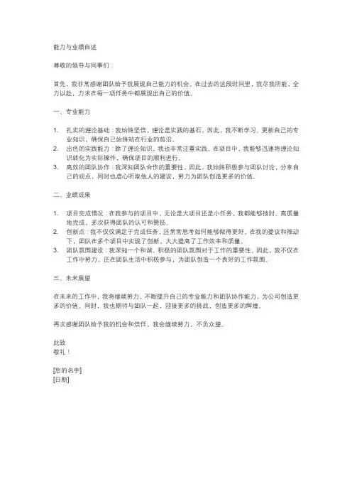 能力与业绩自述