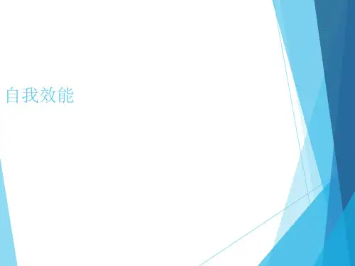自我效能感