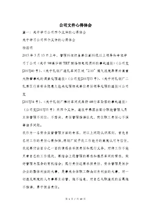 公司文件心得体会.doc