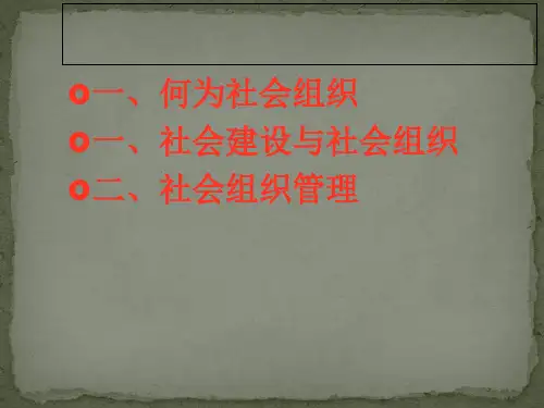 社会组织管理