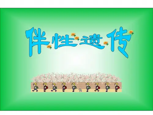高一生物伴性遗传
