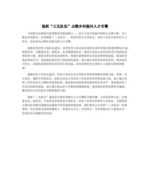 狠抓“三支队伍”点燃乡村振兴人才引擎