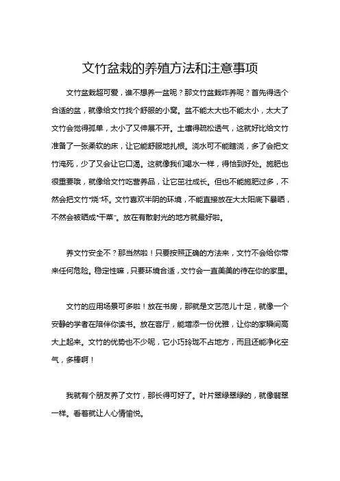 文竹盆栽的养殖方法和注意事项