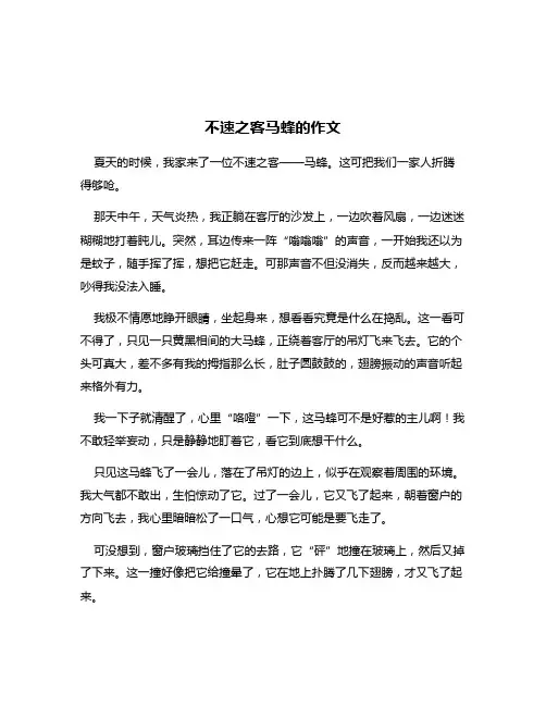 不速之客马蜂的作文