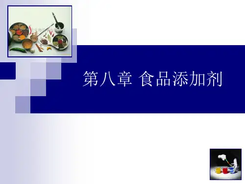 食品化学08第八章食品添加剂PPT课件