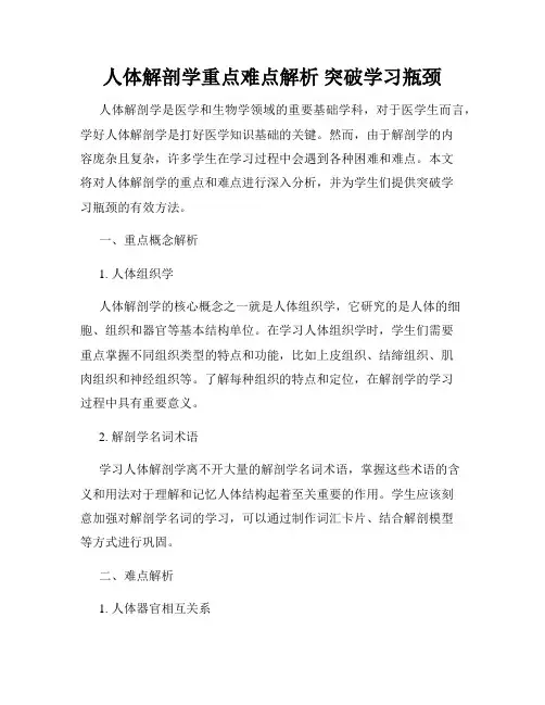 人体解剖学重点难点解析 突破学习瓶颈
