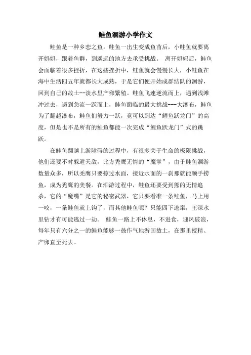 鲑鱼洄游小学作文