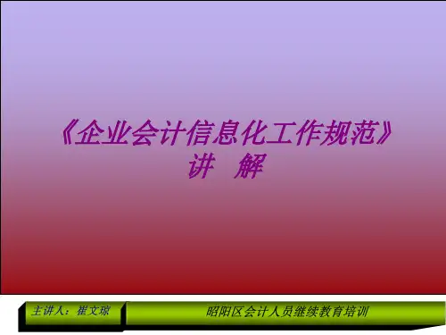 企业会计信息化工作规范讲解.pptx