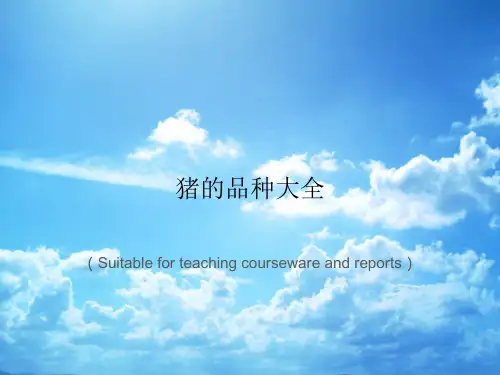 《猪的品种大全》PPT课件