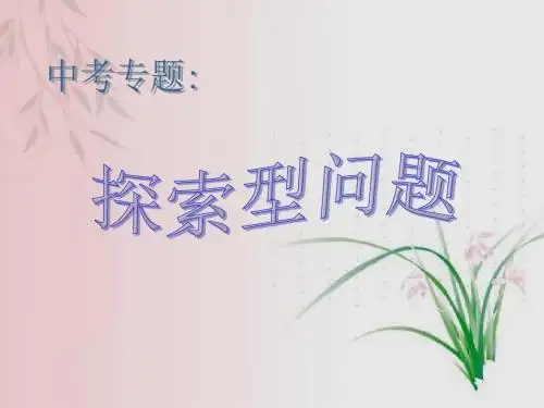 中考专题复习 探索型问题[下学期]