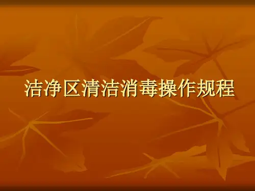洁净区清洁消毒操作规程