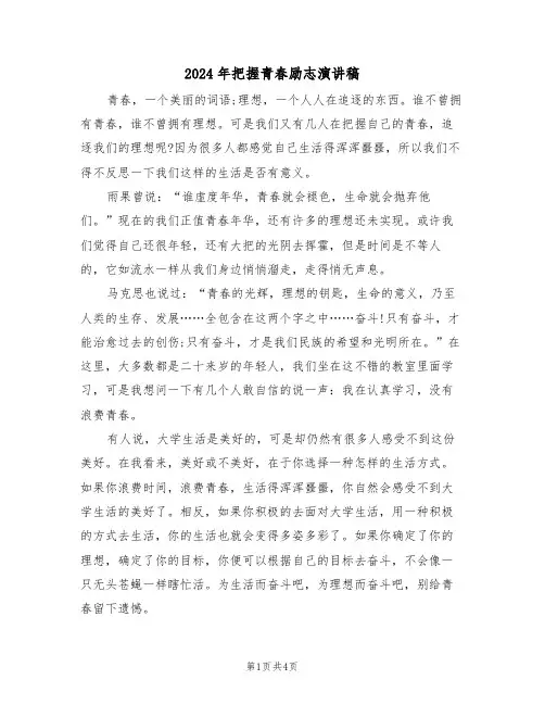 2024年把握青春励志演讲稿(二篇)