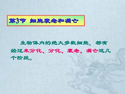 高中生物第六章细胞的衰老和凋亡课件人教版必修一