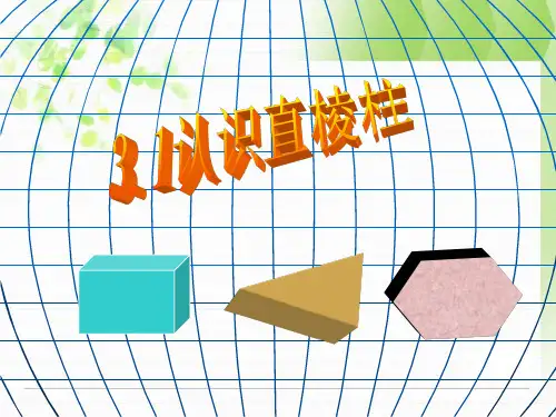 浙江省杭州市萧山区湾镇初级中学八年级数学上册《3.1认识直棱柱》课件