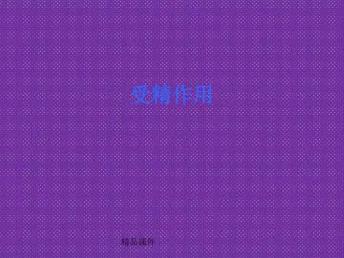 《受精作用》课件5(29张PPT)(中图版必修2)