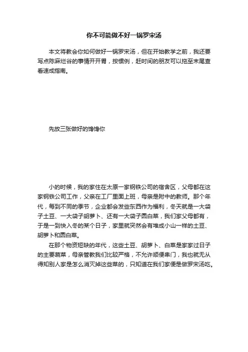 你不可能做不好一锅罗宋汤