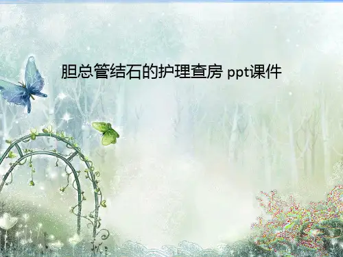 胆总管结石的护理查房 ppt课件