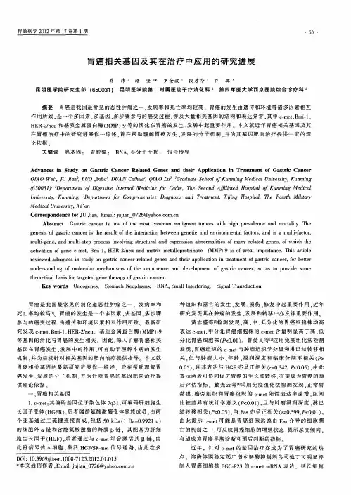 胃癌相关基因及其在治疗中应用的研究进展