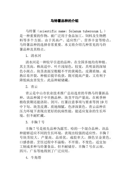 马铃薯品种的介绍