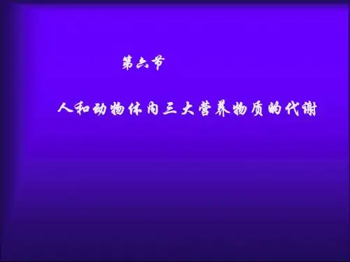 三大营养物质的代谢第一课时课件